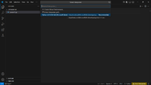 Screenshot shows how to select interpreter.