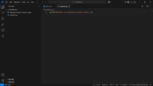 Screenshot that shows text being added to print statement.